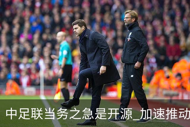 中足联当务之急是开源 加速推动中国足球职业化